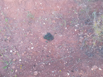Farm Visit - image #395505 gratis